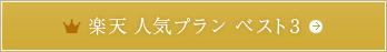 楽天人気プランベスト3